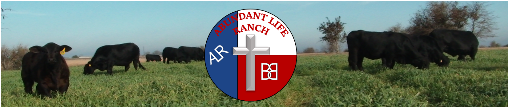 Abundant Life Ranch
