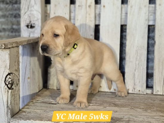 20260128 1347380 (1)