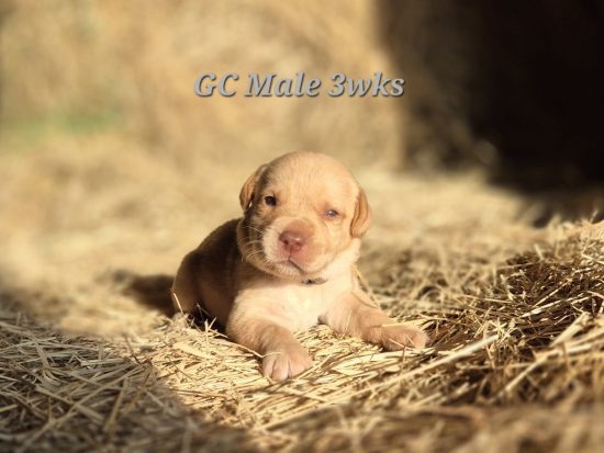 20260424 183932