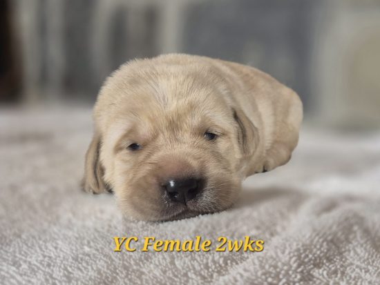 20260503 1422390